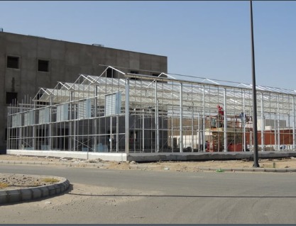 Transparent corrugated fiberglass greenhouse sheets