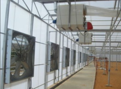 Agricultural ventilation and circulation fans
